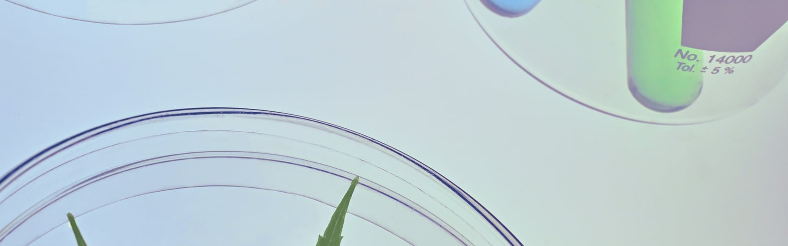 Cannabis Bl&uuml;te neben Reagenzglas Forschung